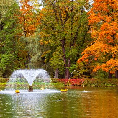 Autumn in the Palace Park in Peterhof, St. Petersburg, Russia