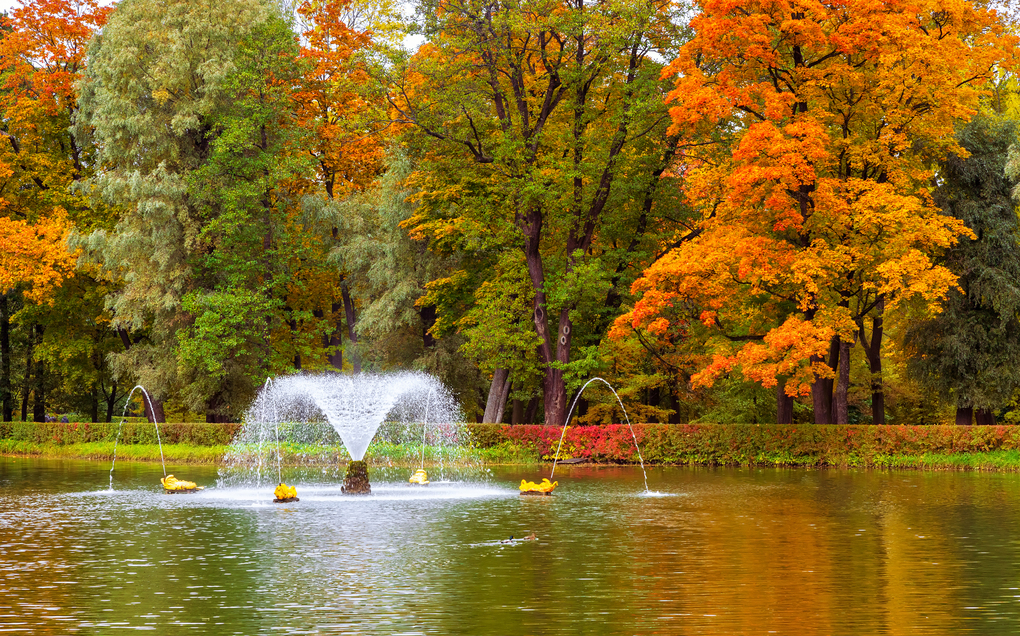 Autumn in the Palace Park in Peterhof, St. Petersburg, Russia