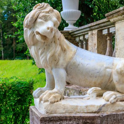 Marble statue of the lion on large stone staircase in Pavlovsk P