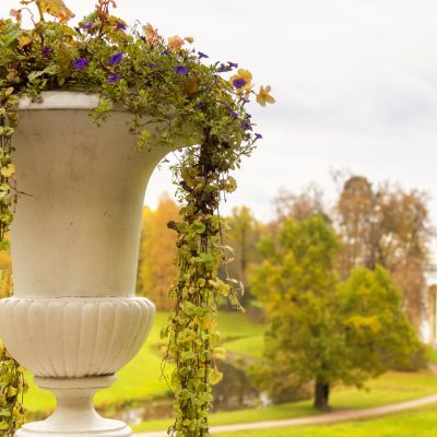 stone-vase-with-flowers-pavlovsk-park-autumn