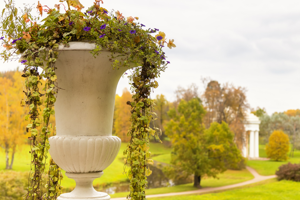 stone-vase-with-flowers-pavlovsk-park-autumn