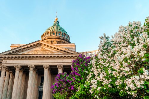 kazan-cathedral-with-blooming-lilacs-summer-st-petersburg-postcard-tourist-view