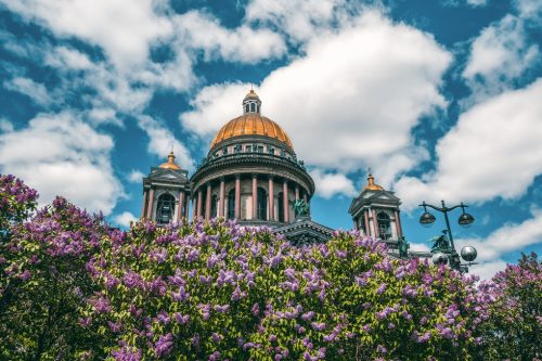 The summer scenic with Saint Isaac's Cathedral in lilac flowers,
