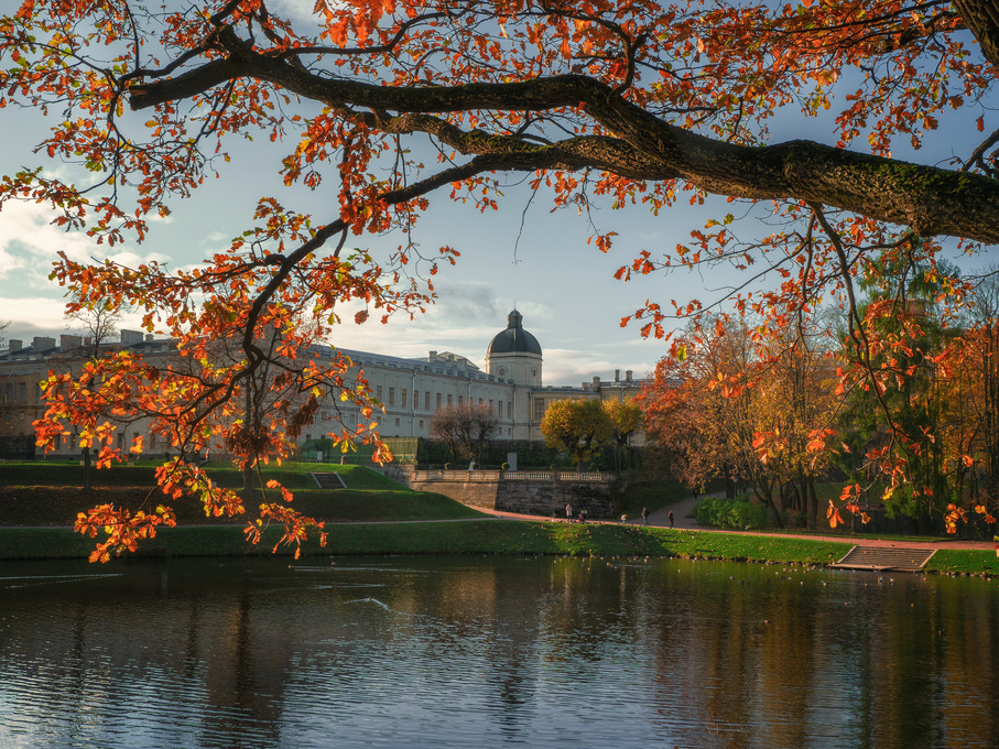 Beautiful autumn sunny landscape of the Park with a pond and a G