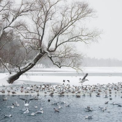 Mystical morning landscape with winter fog over the lake and man