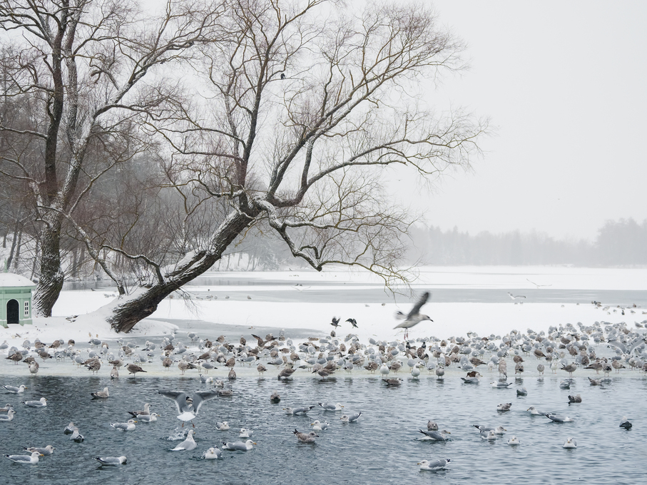 Mystical morning landscape with winter fog over the lake and man