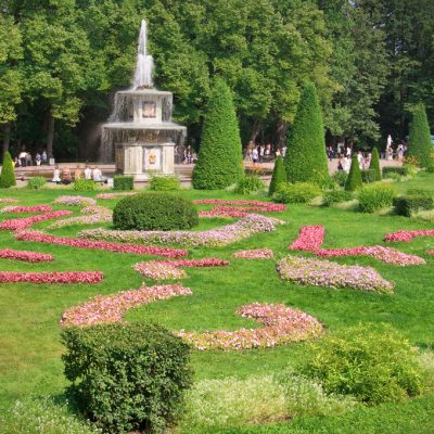 Russia Peterhof. bright sunny day. blooming flower beds, a fount