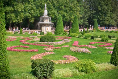 Russia Peterhof. bright sunny day. blooming flower beds, a fount