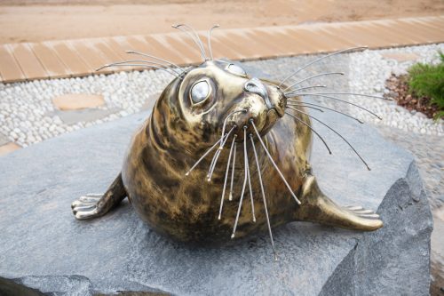 Seal statue close-up on the Island of Forts - Russia, Saint Petersburg, Kronshtadt, August 2021