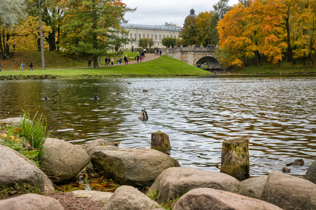 View of the Palace Park on an autumn day, Gatchina, St. Petersburg, Russia