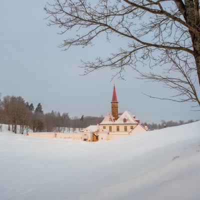 Winter morning frosty dawn. White snowy minimalist landscape wit