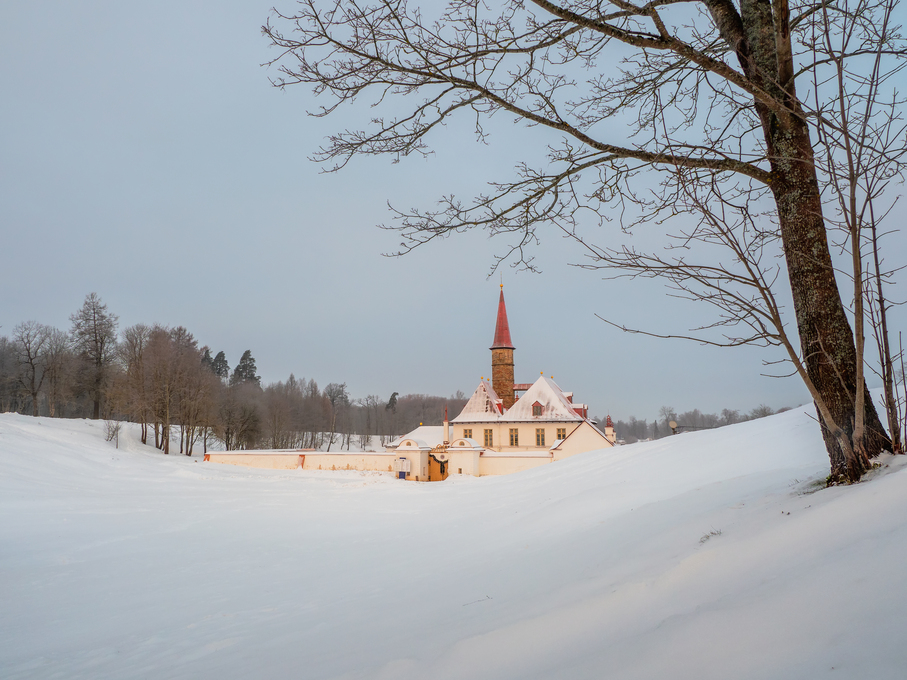 Winter morning frosty dawn. White snowy minimalist landscape wit