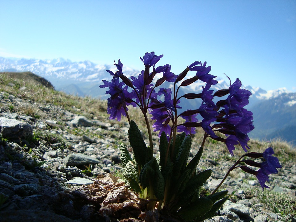 tour-image
