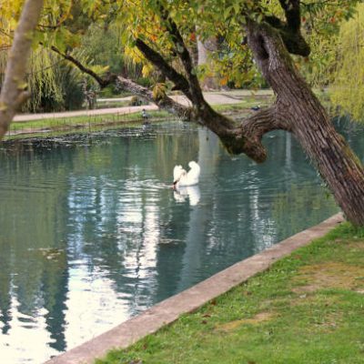 A pond in an old park in spring. New Athos, Abkhazia