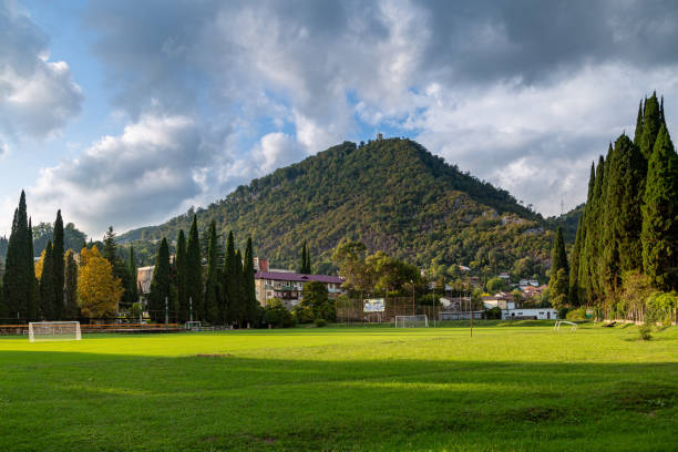 nature in Abkhazia near New Athos in summer . High quality photo