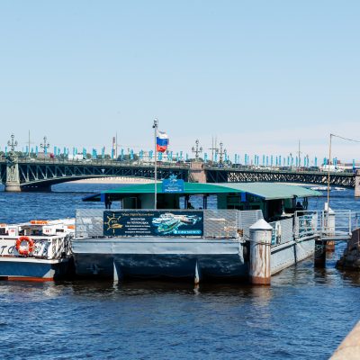 Вид на причал Дворцовая набережная, 10