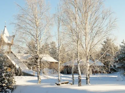 mandrogi_123