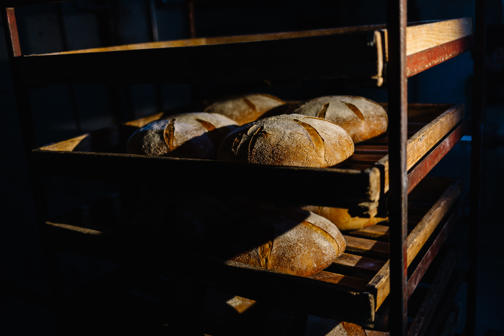 A lot of ready-made fresh bread in a bakery oven in a bakery. Bread making business. Fresh bread from cereals with seeds from a bakery. Healthy and nutritious food. The product contains carbohydrates.