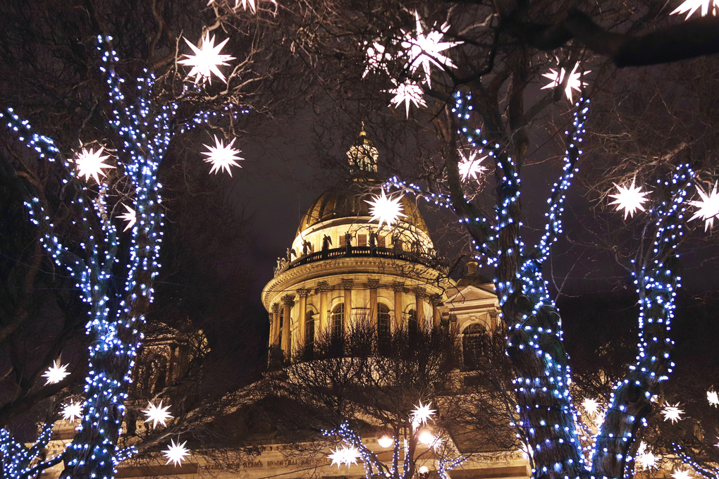 trees in the park near the cathedral illuminated with Christmas garlands and stars at night