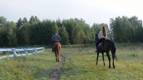 Конные прогулки в Луге